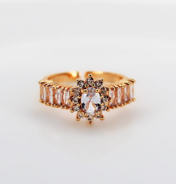 stainless steel ring