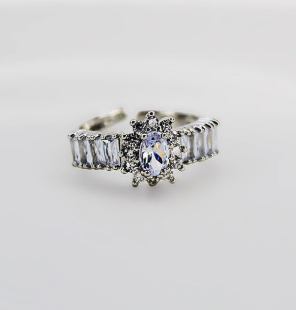 STAINLESS STEEL RING